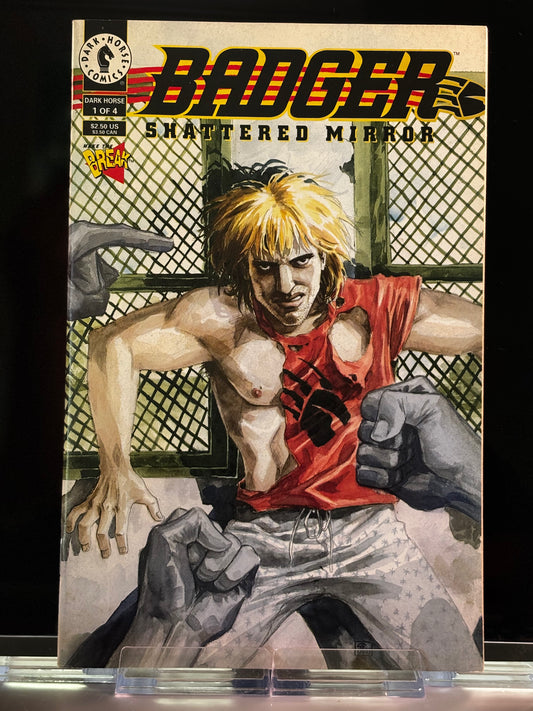 Badger: Shattered Mirror #1–4 (1994 Dark Horse Comics) – VF/NM – Complete Martial Arts Madness Mini-Series